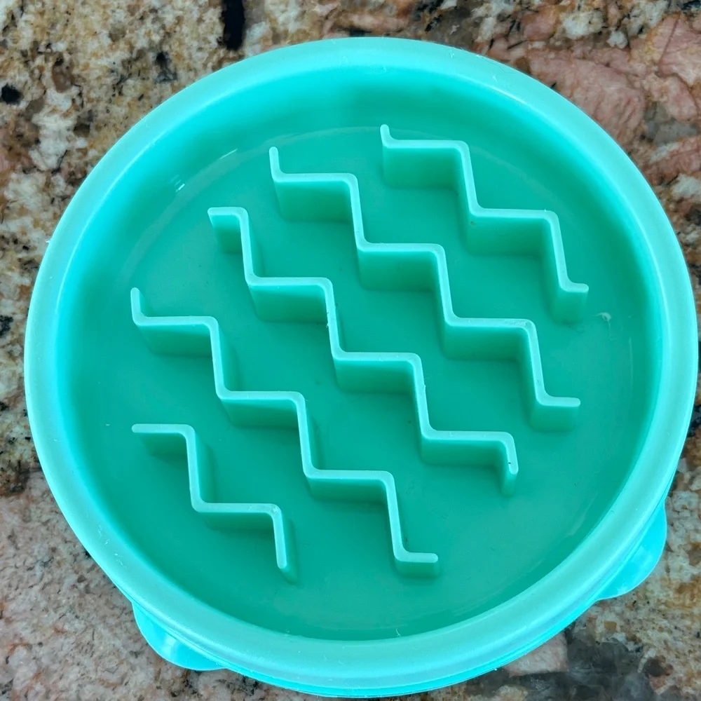 Collapsible Pet Travel Bowl, Mat and Slow Down Feeder